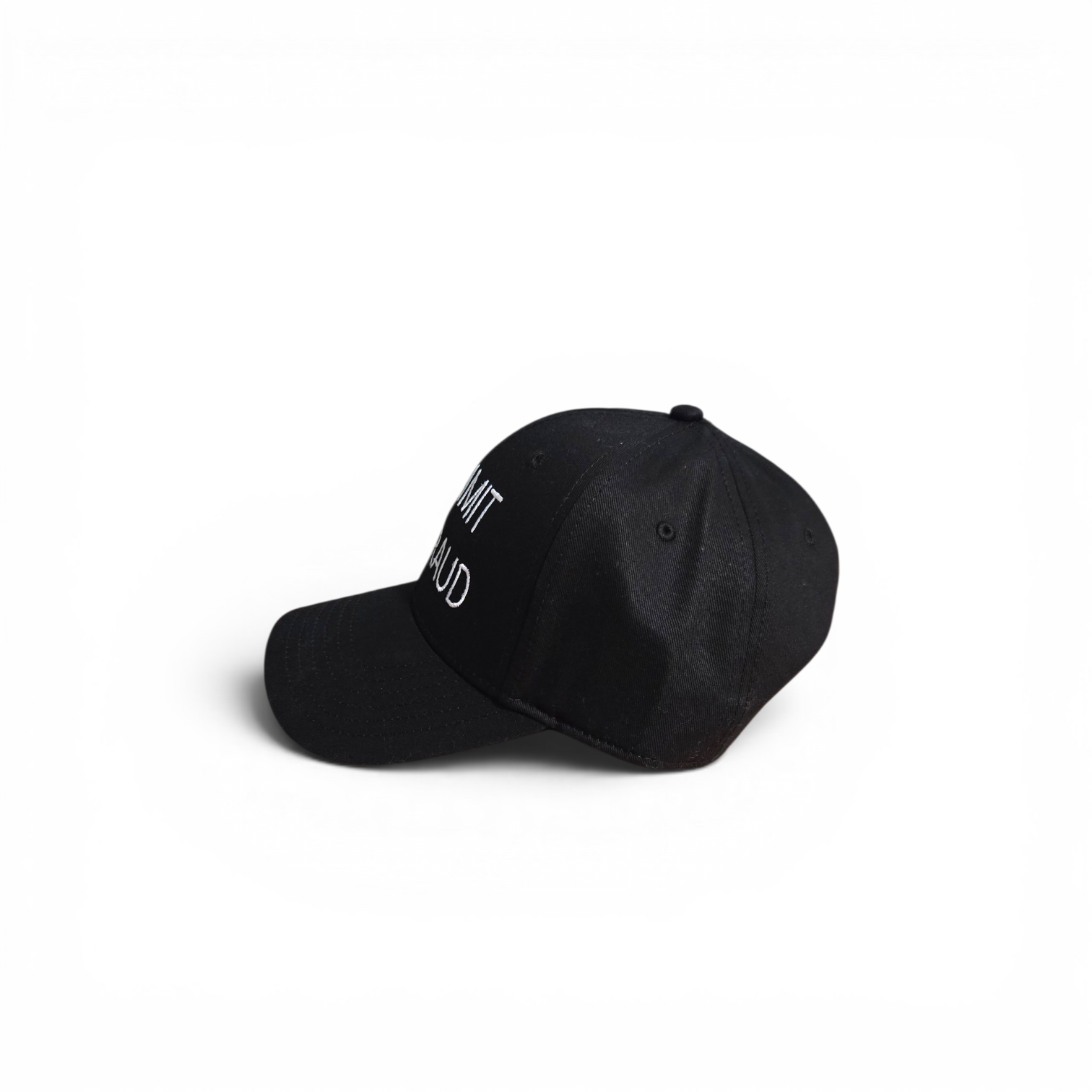 Ironic Tax Fraud Hat