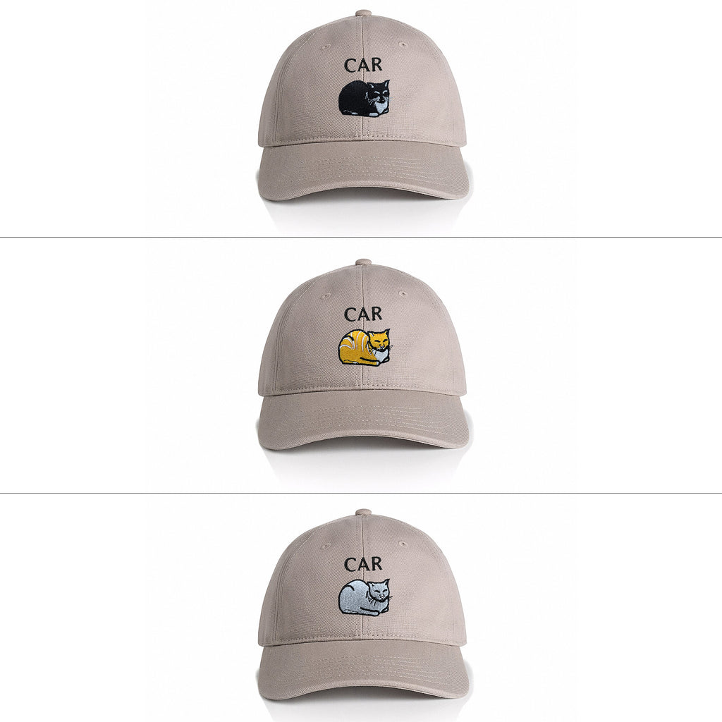 Car Cat Unstructured Hat