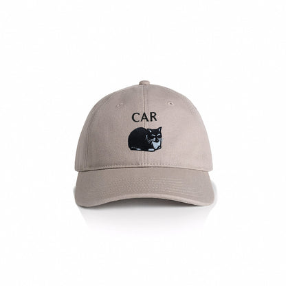 Car Cat Unstructured Hat