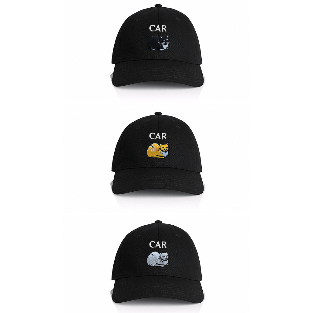 Car Cat Unstructured Hat