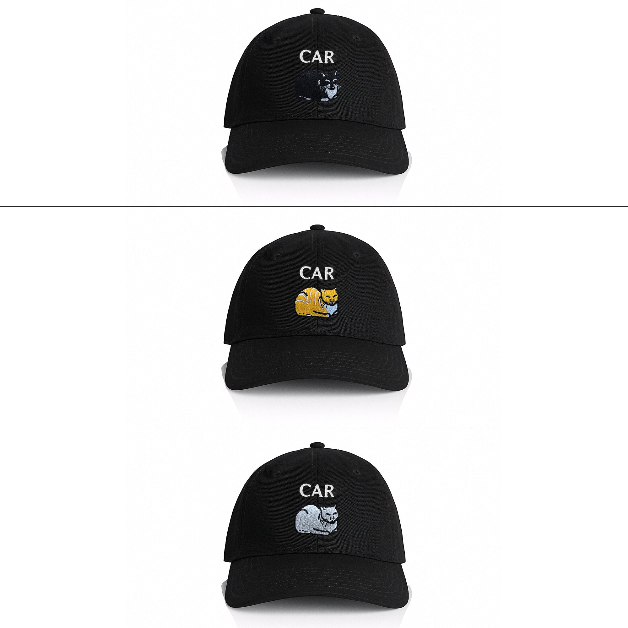Car Cat Unstructured Hat